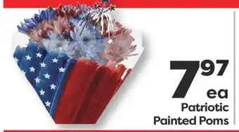 Weis Markets Patriotic Painted Poms offer