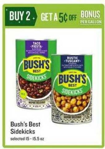 Bush's Best Sidekicks