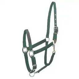 Walmart Gatsby I LOVE MY HORSE Nylon Halter Horse Hunter offer