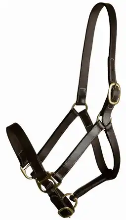 Walmart Gatsby Leather Company-Leather Halter- Havanna Brown Yearling offer