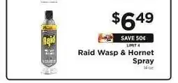ShopRite Raid Wasp & Hornet Spray offer