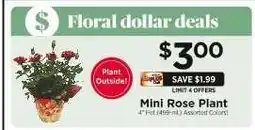 ShopRite Mini Rose Plant offer