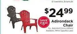 ShopRite Adirondack Chair offer