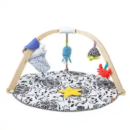 Walmart Melissa & Doug Ocean Easy-Fold Play Gym Developmental Toy for Infants up to 9 Months - FSC Certified offer