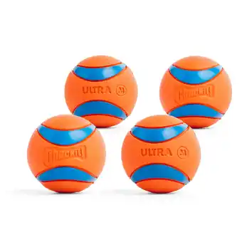 Walmart Chuckit! Ultra Ball Rubber Fetch Dog Toy, Medium 2.5 for Dogs 20 to 60 lb, Pack of 4, Orange & Blue offer