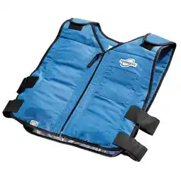 Walmart Techniche FR Cooling Vest,Royl Blue,4 to 8 hr,L/XL 6626-N offer