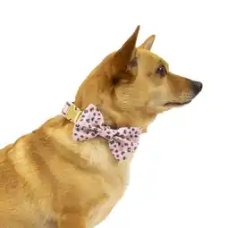 Walmart Vibrant Life Pink Collar Bow Tie Slider Set for Dogs, Size XSmall offer