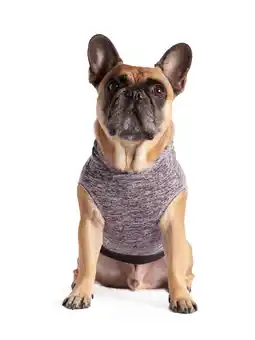 Walmart Coco + Rebel Pet Pink Tank Hoodie offer