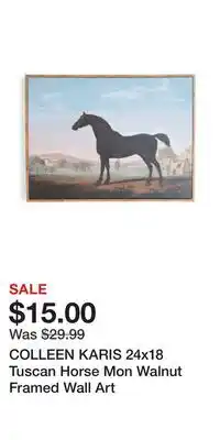 TJ Maxx COLLEEN KARIS 24x18 Tuscan Horse Mon Walnut Framed Wall Art offer