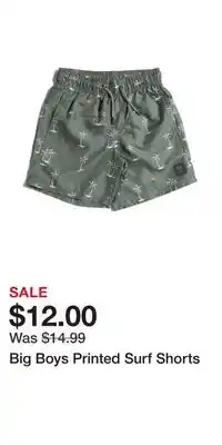 TJ Maxx Big Boys Printed Surf Shorts offer