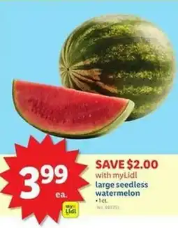 Lidl Large seedless watermelon offer