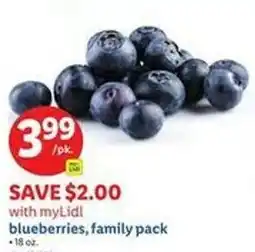 Lidl Blueberries, family pack offer