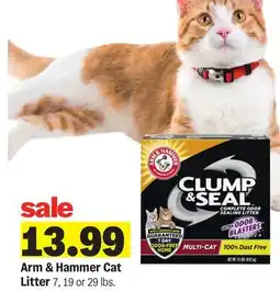 Meijer Arm & Hammer Cat Litter offer