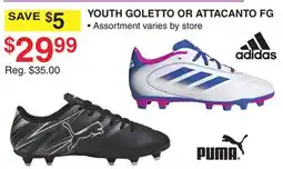Dunham's Sports PUMA YOUTH GOLETTO OR ATTACANTO FG offer