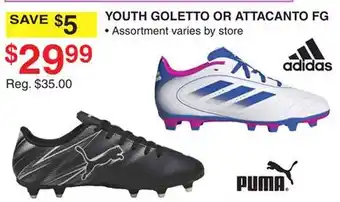 Dunham's Sports PUMA YOUTH GOLETTO OR ATTACANTO FG offer