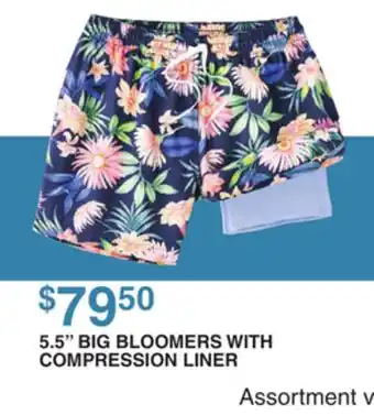 Dunham's Sports 5.5 BIG BLOOMERS WITH COMPRESSION LINER offer