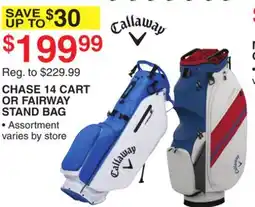 Dunham's Sports CHASE 14 CART OR FAIRWAY STAND BAG offer