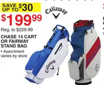 Dunham's Sports CHASE 14 CART OR FAIRWAY STAND BAG offer