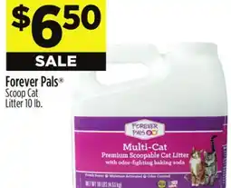 Dollar General Forever Pals Scoop Cat Litter offer