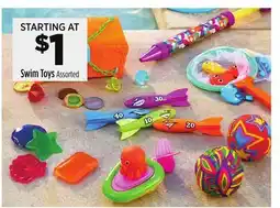 Dollar General Swim Toys offer