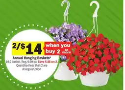 Meijer Annual Hanging Baskets offer