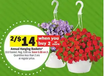 Meijer Annual Hanging Baskets offer