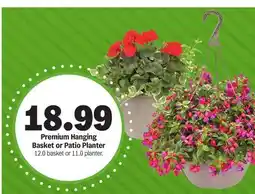 Meijer Premium Hanging Basket or Patio Planter offer