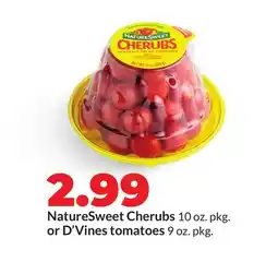 Hy-Vee NatureSweet Cherubs 10 oz. pkg. or D'Vines tomatoes 9 oz. pkg offer