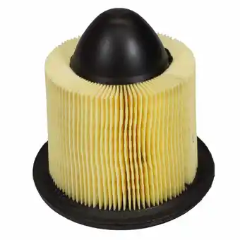 Walmart Motorcraft Air Filter FA1632 offer