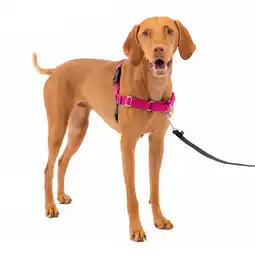 Walmart PetSafe Easy Walk No-Pull Leash Training Dog Harness, Medium, Raspberry offer