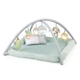 Walmart Ingenuity Calm Springs Plush Activity Baby Gym offer