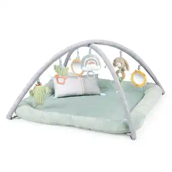Walmart Ingenuity Calm Springs Plush Activity Baby Gym offer