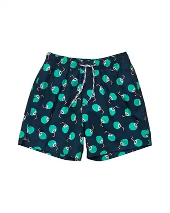 Walmart Snapper Rock boys Coco Loco Volley Board Short, 2, Blue offer