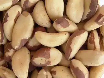 Walmart Gourmet Brazil Nuts by Its Delish Two pound offer