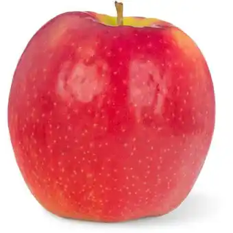 Walmart Fresh Pink Lady Apple, Each offer