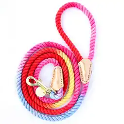 Walmart Packed Party Hold It! Rainbow Rope Dog Leash offer