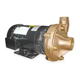 Walmart Dayton Pump,2 HP,3 Ph,230/460V AC 2ZXA6 offer