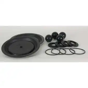 Walmart Dayton Pump Repair Kit,TPV,For 22A599 34TJ46 22A617 offer