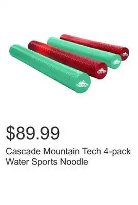 Costco Cascade Mountain Tech 4-pack Water Sports Noodle offer