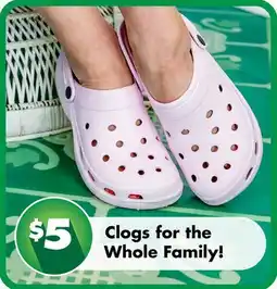 Dollar Tree Clogs for the Whole Family! offer