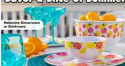 Dollar Tree Melamine Dinnerware or Drinkware offer