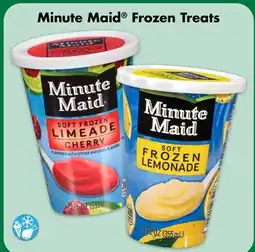 Dollar Tree Minute Maid Frozen Treats offer