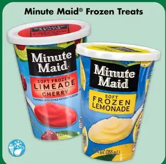 Dollar Tree Minute Maid Frozen Treats offer
