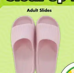 Dollar Tree Adult Slides offer