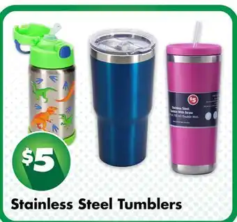 Dollar Tree Stainless Steel Tumblers offer
