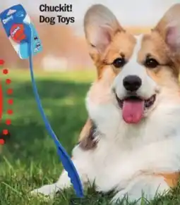 Meijer Chuckit! Dog Toys offer