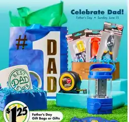 Dollar Tree Father's Day Gift Bags or Gifts offer