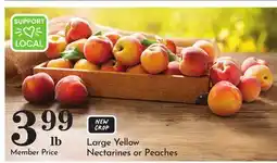Pavilions Large Yellow Nectarines or Peaches offer