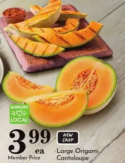 Pavilions Large Origami Cantaloupe offer