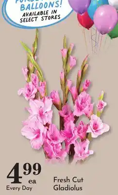 Pavilions Fresh Cut Gladiolus offer